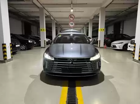 BYD Destroyer 05