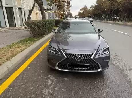 Lexus ES 300h