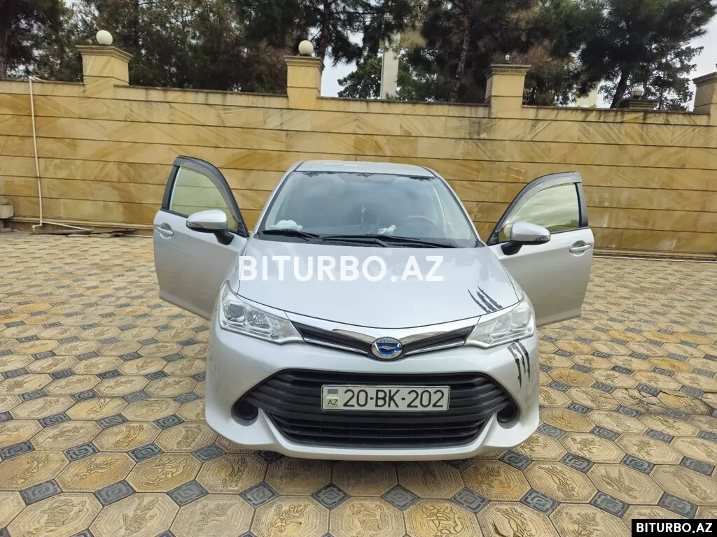 Toyota Corolla Fielder